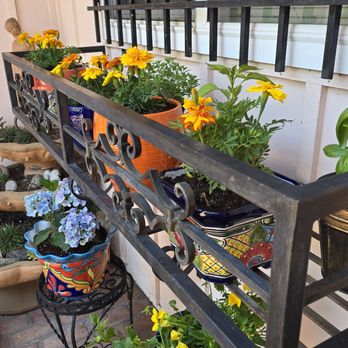 El Bazar Azteca - More of the talavera pots in the window box and underneath with blue hydrogeanea - Home Decor Near Me - San Jose, California El Bazar Azteca - More of the talavera pots in the window box and underneath with blue hydrogeanea - Home Decor Near Me - San Jose, California