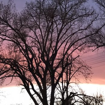 Cozy Cottage - American Near Me - Denver, Colorado