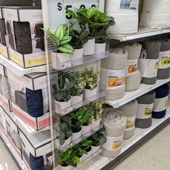 Target - Fake plants - Department Stores Near Me - Minneapolis, Minnesota Target - Fake plants - Department Stores Near Me - Minneapolis, Minnesota