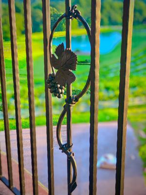 Montaluce Winery & Restaurant by null