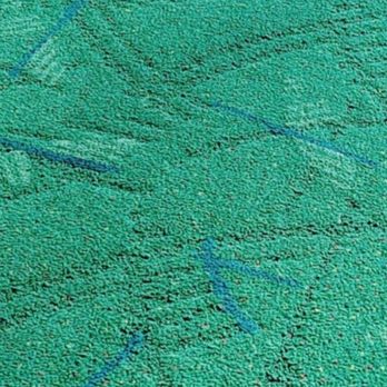 PDX Carpet - Local Flavor Near Me - Portland, Oregon