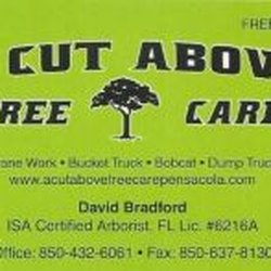 A Cut Above Tree Care