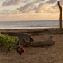 Photo of Kumu Camp
