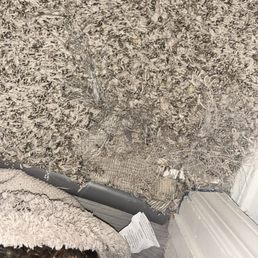 The before of the worst carpet damage.
