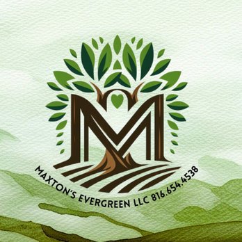 Maxton's Evergreen - Tree Services Near Me Maxton's Evergreen - Tree Services Near Me