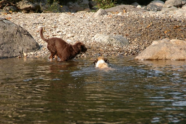 Twin Falls Trailhead by null