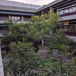 Office of the Labor Commissioner - Courtyard