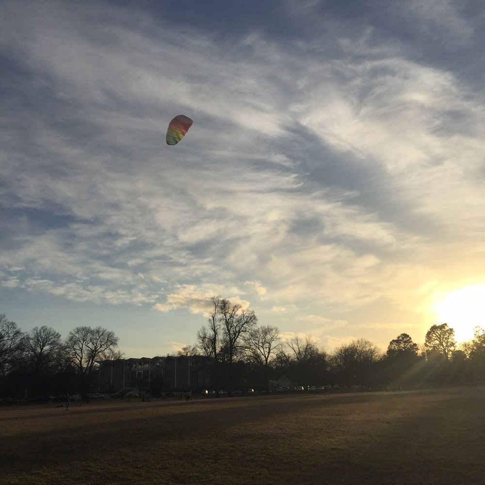 Overton Park - Kite flying with Memphis College of Art in the background. - Parks Near Me - Memphis, Tennessee Overton Park - Kite flying with Memphis College of Art in the background. - Parks Near Me - Memphis, Tennessee