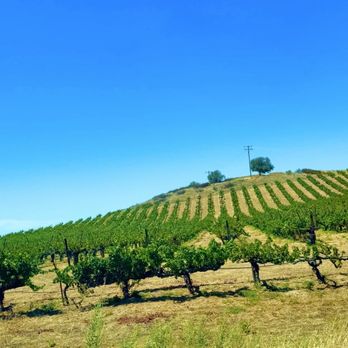 Ponte Winery - Vineyard - Wineries Near Me - Temecula, California Ponte Winery - Vineyard - Wineries Near Me - Temecula, California