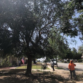 AMDM Tree Service - Landscaping Near Me - Anaheim, California