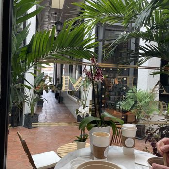 Via Roma Cafe - Atmosphere - Cafes Near Me - Palm Beach, Florida Via Roma Cafe - Atmosphere - Cafes Near Me - Palm Beach, Florida