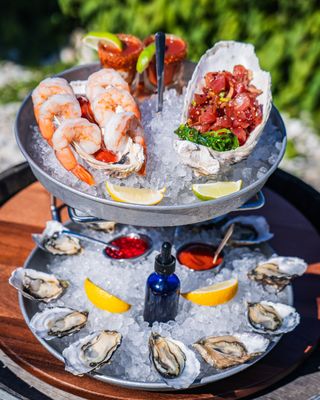 Clausen Oysters by null