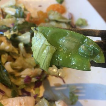 Islands Restaurant - Chinese salad w/ a side of the cooks hair - Burgers Near Me - Cerritos, California Islands Restaurant - Chinese salad w/ a side of the cooks hair - Burgers Near Me - Cerritos, California