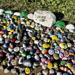 Chino Hills Community Park - "Kindness rocks"