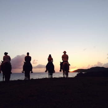 Esperanza Riding Company - Great ride & view! - Horseback Riding Near Me - Vieques, Puerto Rico