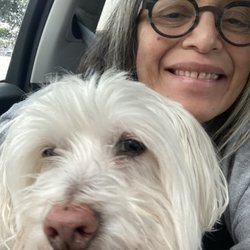 Majyk Paws Dog Training - Wally (he HATES selfies) and me !