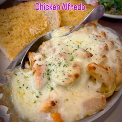 D'Vinci's Restaurant - Chicken Alfredo