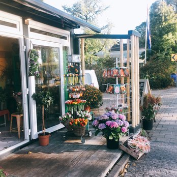 Amazing Flowers - Florists Near Me - Amsterdam, New Hampshire