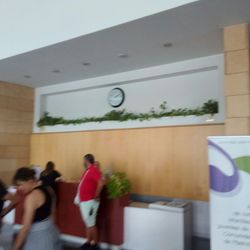 Teatro del Bosque de Mostoles - La recepción