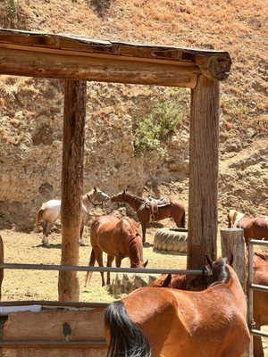 Sunset Ranch Hollywood by null
