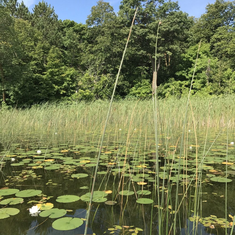 Five Lakes Resort - Resorts Near Me - Frazee, Minnesota Five Lakes Resort - Resorts Near Me - Frazee, Minnesota
