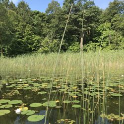 Five Lakes Resort
