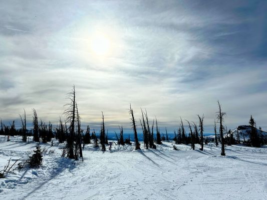 Wolf Creek Ski Area by null