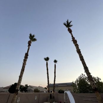 LandTeck Tree Service - Tree Services Near Me - Las Vegas, Nevada LandTeck Tree Service - Tree Services Near Me - Las Vegas, Nevada