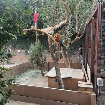 Wildlife Learning Center - Zoos Near Me - Sylmar, California