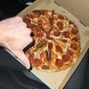 Great Alaska Pizza Company gift card