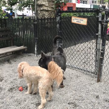 Madison Square Park Conservancy - Small dog area - Dog Parks Near Me - New York, New York Madison Square Park Conservancy - Small dog area - Dog Parks Near Me - New York, New York