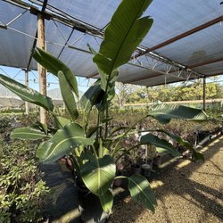 Katy Garden Center
