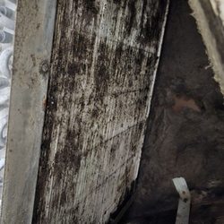 One Stop Home Inspections