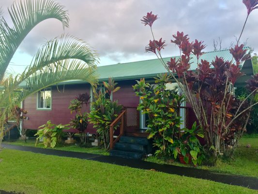 Puna Rainforest Retreat: Hot springs and steam vents by null