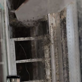 ShopRite of Eddystone - Mold, debris, rust, soiled food results & spider webs - Grocery Near Me - Eddystone, Pennsylvania