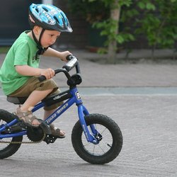 Dynamic Driving School