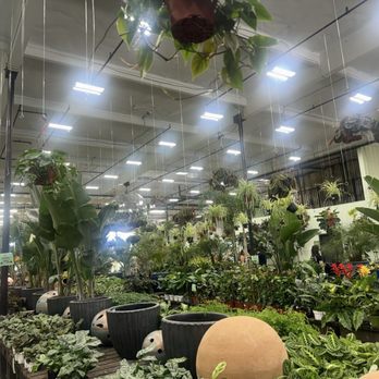 Terra Bella Nursery - Plants to buy - Nurseries & Gardening Near Me - San Diego, California Terra Bella Nursery - Plants to buy - Nurseries & Gardening Near Me - San Diego, California