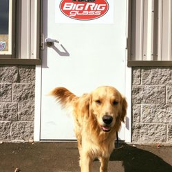 Big Rig Glass - BRG's favorite helper is in the shop today.. HAPPY FRIDAY!! Call us today for your windshield replacement/repair!