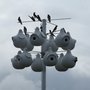 Purple Martin Propagators