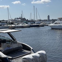 Harbor view