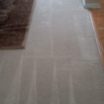 Why Carpets - Carpet Cleaning Near Me - Macon, North Carolina