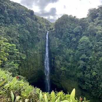 Akaka Falls State Park - Parks Near Me - Honomu, Hawaii