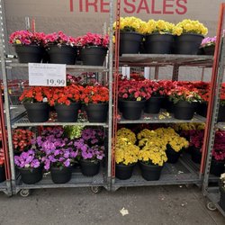 Costco Wholesale
