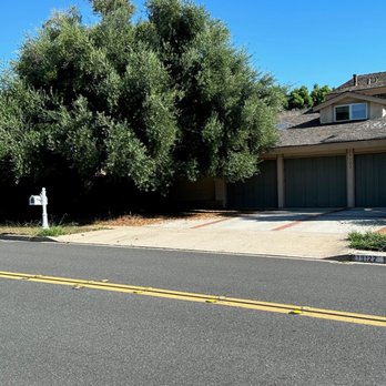Ideal Property Management - Overgreen tree - Property Management Near Me - Diamond Bar, California Ideal Property Management - Overgreen tree - Property Management Near Me - Diamond Bar, California