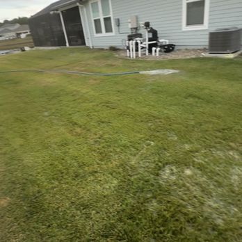 Blue Haven Pools & Spas - Pool & Hot Tub Service Near Me - Freeport, Florida