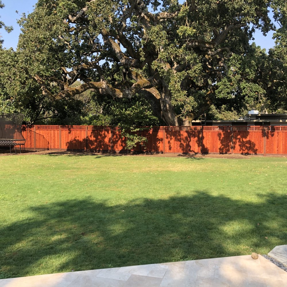 FenceMaster - Fence with our neighbors oak. - Fences & Gates Near Me - San Carlos, California FenceMaster - Fence with our neighbors oak. - Fences & Gates Near Me - San Carlos, California