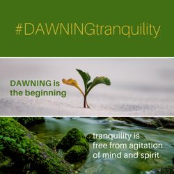 Dawning Tranquility - What is Dawning Tranquility?