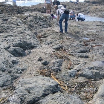 Glass Beach - Folks panning for glass - Beaches Near Me Glass Beach - Folks panning for glass - Beaches Near Me