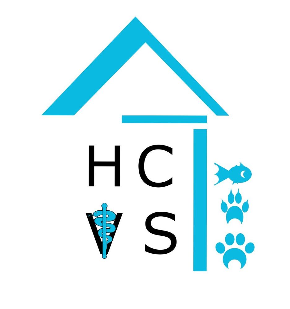 Home Care Veterinary Service Image