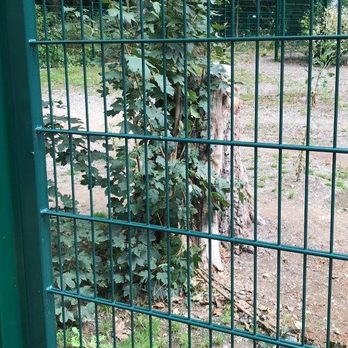 Tierpark Chemnitz - Zoos Near Me - Chemnitz, SN
